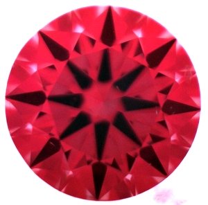1260786.JPG