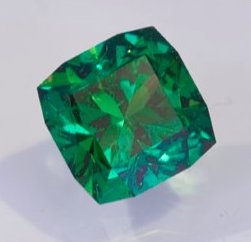 pl_920_detail_1.jpg