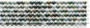 PPMultiColouredChoices (850 x 264).jpg PPMultiColouredChoices (850 x 264).jpg