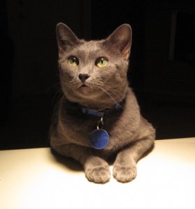 reiportrait2.jpg