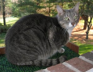 PSCAT99099-1.jpg