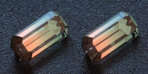 pair5330.jpg