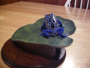 Blue frog back.JPG