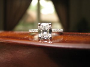 IMG_9254.JPG