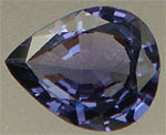 SP00211_a.jpg