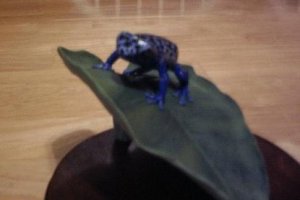 Blue frog front.JPG