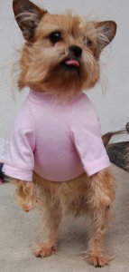 Kizzydress.jpg