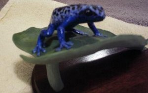 Blue frog side.JPG