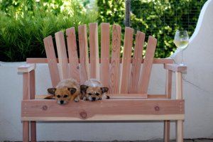 luvseatpups.jpg