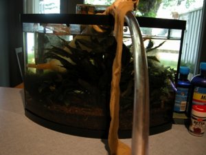 Python no spill 04.JPG