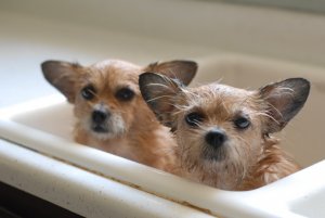 bathDSC_0010-4.jpg