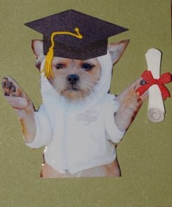 grad400.jpg