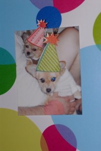 2partypups.jpg