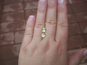 100_08301.jpg