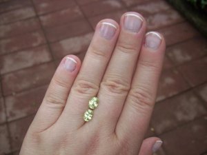 100_08341.jpg
