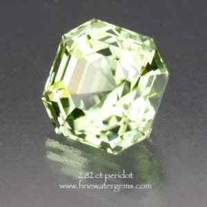 garyperidotasscher.jpg garyperidotasscher.jpg