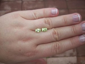 100_08331.jpg