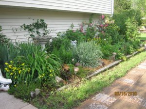rsz_img_1288.jpg