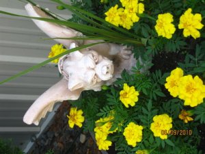 rsz_img_1174.jpg