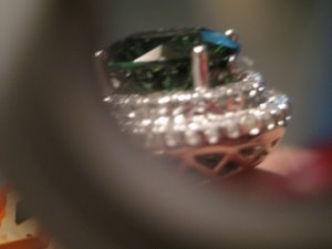 IMG_5232p_2.jpg