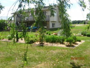 rsz_img_1161.jpg