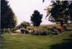 6-17-2010 10;15;33 PM1.JPG
