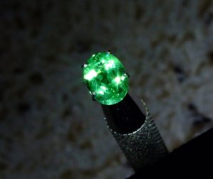 SSgreenov5.jpg