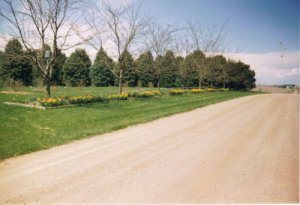 6-19-2010 8;29;46 AM1.JPG
