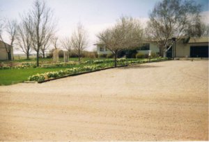 6-19-2010 8;30;43 AM1.JPG