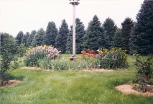 6-19-2010 8;28;49 AM1.JPG