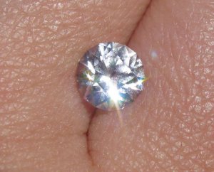 IMG_9208 freke.jpg