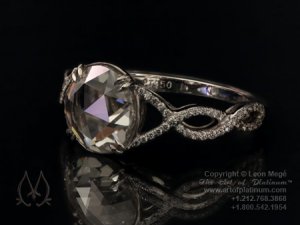 Leon DNA ring1.jpg
