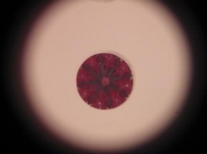 mrYDV2770 IDEALSCOPEearring1.jpg