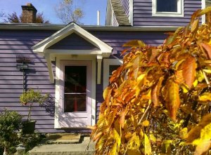 purpleandorange2.jpg