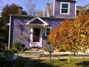 purpleandorange.jpg