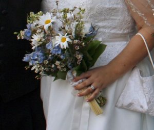 elmortdaisies.jpg