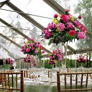 peonytalld10.jpg