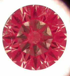dscn8059.gif