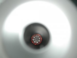 DSCN0849.JPG