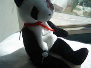 teddy1515.JPG