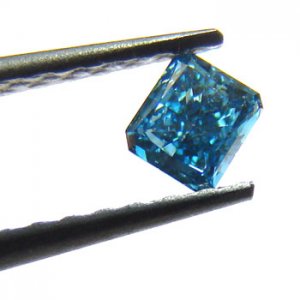 1i6071.jpg
