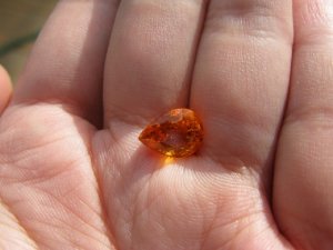 IMG_1253 (520x390).jpg