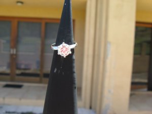 4IMG_0343r.jpg