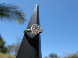 5IMG_0361r.jpg