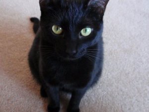 LittleMissPinky.jpg