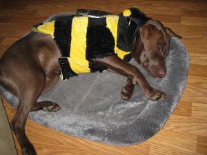 Halloween 034[1].jpg