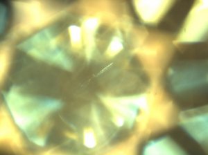a0005.jpg