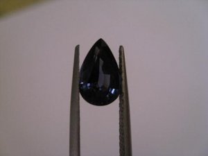 IMG_1615.1.JPG