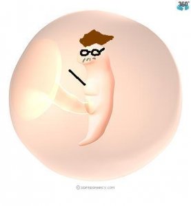 bigbrainacademywii.JPG