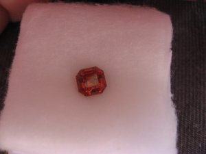 FPP-DSSpessAsscher3.JPG